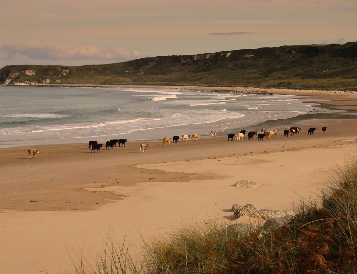 Glen Haven Bed&Breakfast Ballycastle Buitenkant foto