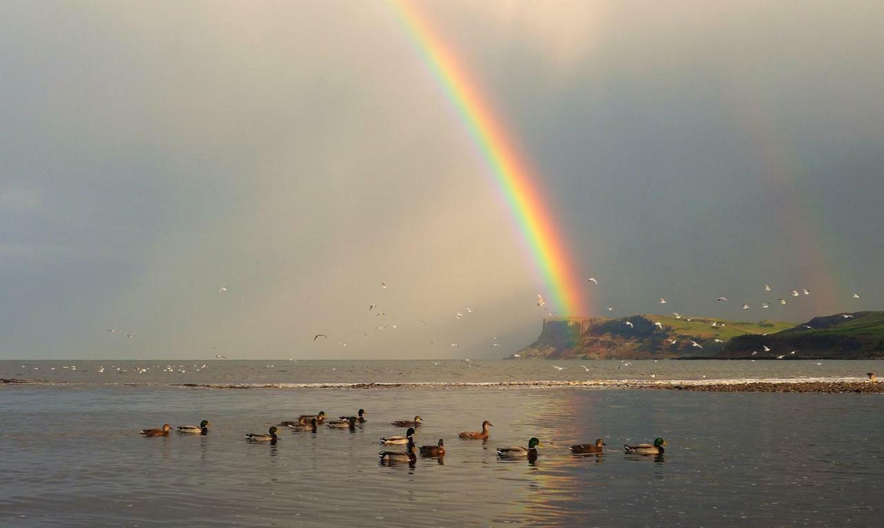 Glen Haven Bed&Breakfast Ballycastle Buitenkant foto